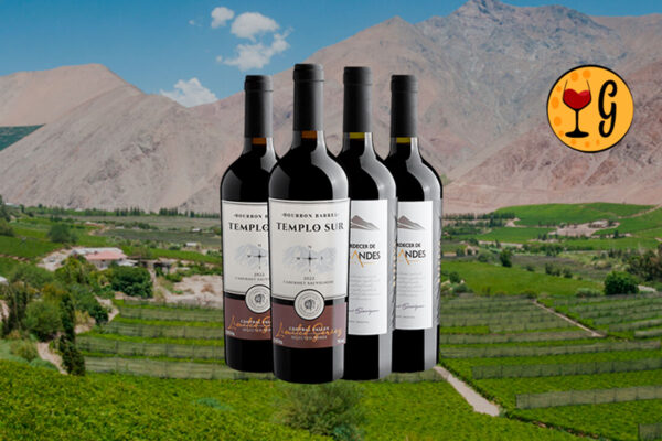 Kit Cabernets Notáveis do Novo Mundo 4 Vinhos Cabernet Sauvignon por R$ 69,90 cada – Análise Completa - Thumbnail